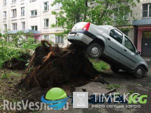 Число жертв урагана в Москве растет