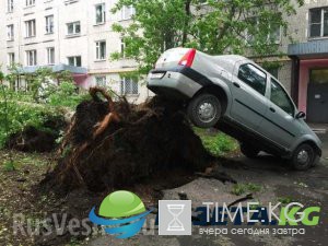 Число жертв урагана в Москве растет Число жертв урагана в Москве растет