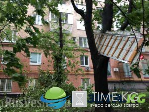 Число жертв урагана в Москве растет Число жертв урагана в Москве растет