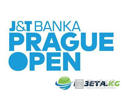 Елена Янкович – Кристина Плишкова прогноз 01.05.2017: Анонс игры Prague Open