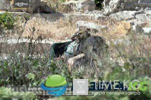 Hey, we're working: «Army of Islam» showed militants' bodies for sponsor record GRAPHIC Hey, we're working: «Army of Islam» showed militants' bodies for sponsor record GRAPHIC