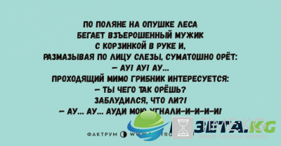 Хохот до упаду: веселые анекдоты от настоящих мастеров сарказма Хохот до упаду: веселые анекдоты от настоящих мастеров сарказма