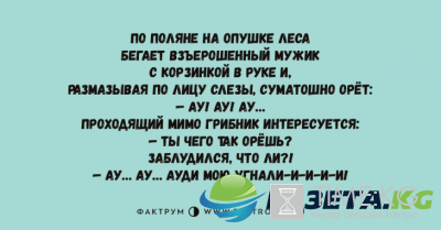 Хохот до упаду: веселые анекдоты от настоящих мастеров сарказма