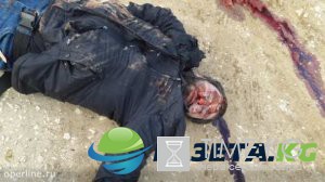 Кадры работы спецназа ФСБ: террористы в Дагестане ликвидированы , ФОТО 18+ Кадры работы спецназа ФСБ: террористы в Дагестане ликвидированы , ФОТО 18+