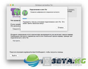 Как обойти блокировку ВКонтакте, Одноклассников и Яндекса на ПК и мобильных