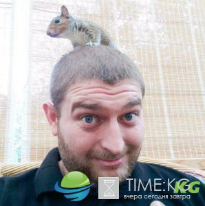Когда закон безжалостен: милосердному спасителю бельчонка придется его усыпить