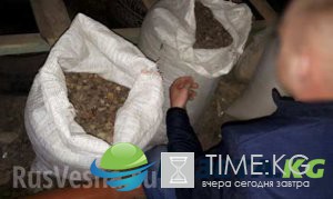 Куда стекается добытый янтарь: на Украине обнаружили подпольный завод и изъяли 300 кг камня Куда стекается добытый янтарь: на Украине обнаружили подпольный завод и изъяли 300 кг камня