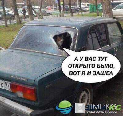 Курьезные автоприколы, которые поднимут настроение