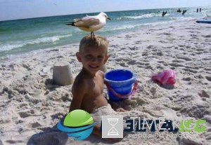 Летние будни в курьезных картинках (ФОТО) Летние будни в курьезных картинках (ФОТО)