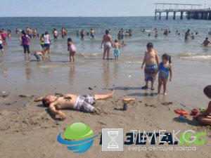 Летние будни в курьезных картинках (ФОТО) Летние будни в курьезных картинках (ФОТО)