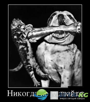 Лопнуть от смеха: самые смешные демотиваторы из ВК Лопнуть от смеха: самые смешные демотиваторы из ВК