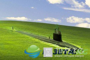 Ложь о георгиевской ленте — расследование ФОТО,