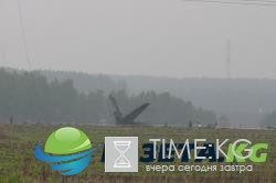 «Людей собирали по частям»: вспоминаем крушение Ан-12 под Челябинском