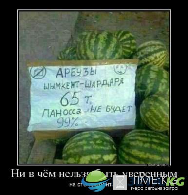 "Майские жуки в пуховиках прилетели" : улетные демотиваторы "Майские жуки в пуховиках прилетели" : улетные демотиваторы