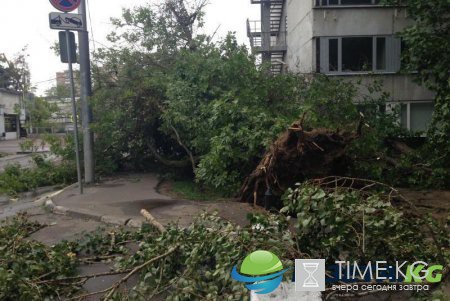 МЧС списки погибших при урагане сегодня: как все происходило, есть ли жертвы и разрушения? МЧС списки погибших при урагане сегодня: как все происходило, есть ли жертвы и разрушения?