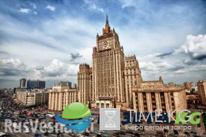 МИД возмутился «шельмованием» российского посла в США