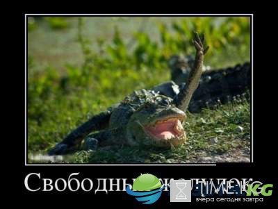"Милая, ну не дуйся" : эти демотиваторы заставят вас громко смеяться "Милая, ну не дуйся" : эти демотиваторы заставят вас громко смеяться