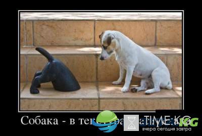 "Милая, ну не дуйся" : эти демотиваторы заставят вас громко смеяться "Милая, ну не дуйся" : эти демотиваторы заставят вас громко смеяться