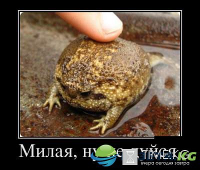 "Милая, ну не дуйся" : эти демотиваторы заставят вас громко смеяться "Милая, ну не дуйся" : эти демотиваторы заставят вас громко смеяться