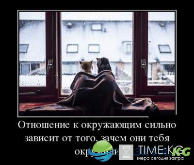 "Милая, ну не дуйся" : эти демотиваторы заставят вас громко смеяться "Милая, ну не дуйся" : эти демотиваторы заставят вас громко смеяться