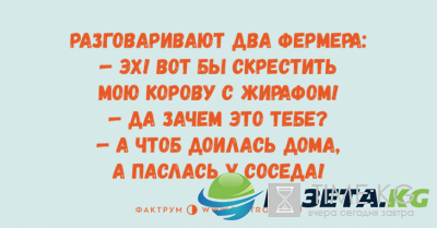 Минутка позитива: веселые анекдоты для любителей тонкого юмора Минутка позитива: веселые анекдоты для любителей тонкого юмора
