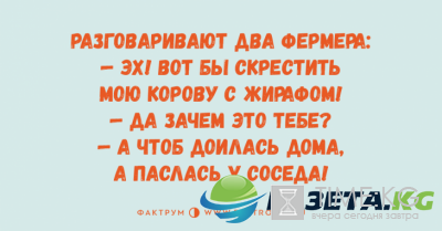 Минутка позитива: веселые анекдоты для любителей тонкого юмора