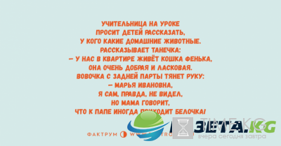 Минутка позитива: веселые анекдоты для любителей тонкого юмора Минутка позитива: веселые анекдоты для любителей тонкого юмора