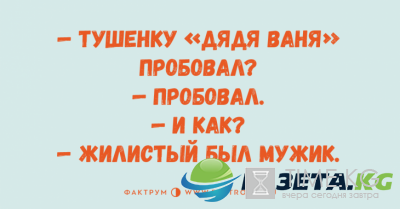 Минутка позитива: веселые анекдоты для любителей тонкого юмора