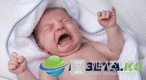 На Кубане в лесополосе нашли новорожденного ребенка