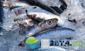 На Сахалине пресекли поставку 500 тонн мойвы с личинками паразитов