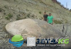 НЛО посещали Землю еще 50 миллионов лет назад: доказательства находят в аномальной зоне Волгоградской области