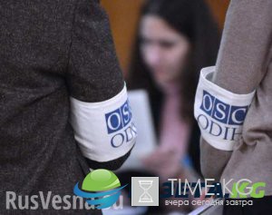 Обвинения в домогательствах к сотруднице ОБСЕ — нехватка мужского внимания или политический заказ?