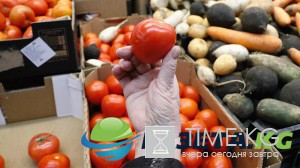 «Помидорная война» с Турцией обошлась России в 1,5 миллиарда долларов «Помидорная война» с Турцией обошлась России в 1,5 миллиарда долларов