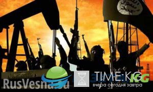 Проблемы террористов: боевикам все чаще выплачивают зарплаты фальшивыми долларами