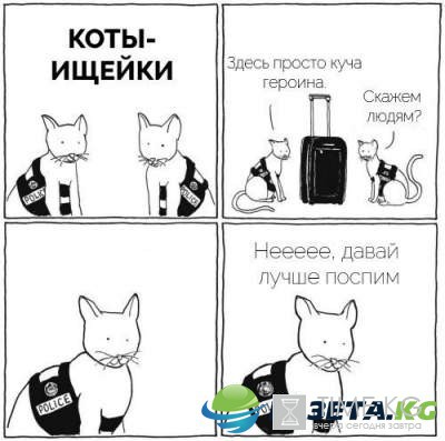 Продолжаем веселиться: только остроумные комиксы Продолжаем веселиться: только остроумные комиксы