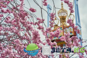Путешествие в сказку: как выглядит лучший городской парк в Европе (ФОТО)
