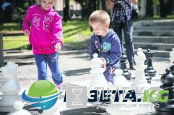 Шах и мат: где в Днепре устроить партию на доске