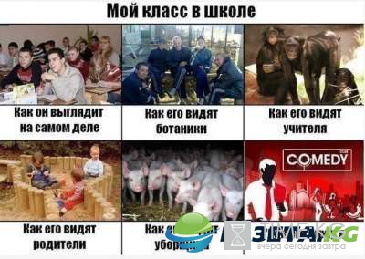 Смешные картинки с надписями скрасят ваш вечер Смешные картинки с надписями скрасят ваш вечер