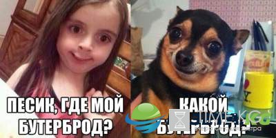 Смешные картинки с надписями скрасят ваш вечер Смешные картинки с надписями скрасят ваш вечер