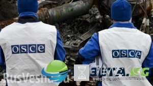 Стоп-фейк: как Украина расследует «изнасилование» наблюдателя ОБСЕ в ДНР