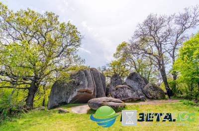 Странные вещи, запрещенные в Болгарии. Фото