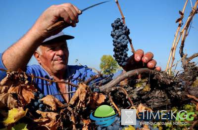 Странные вещи, запрещенные в Болгарии. Фото
