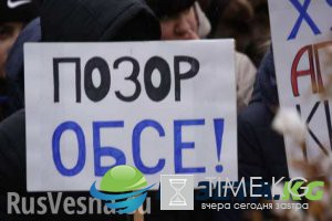 Сволочи! Желаю, чтобы ваши дети гибли, как гибнут наши внуки, — жительница Донбасса высказала ОБСЕ всё, что думает