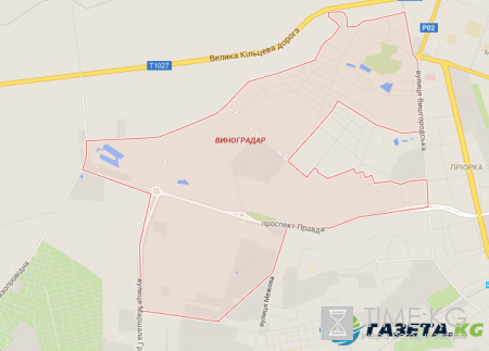 5 мест в Киеве, где совершенно законно можно пожарить шашлык