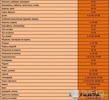 Благоприятные посадочные дни в мае 2017 года в открытый грунт, таблица: Когда и что сажать