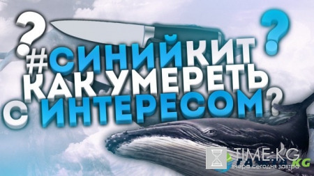 Cиний кит суицидная группа новости сегодня 8 мая 2017 года: клик на игровой хештег показывает путь в группу игры