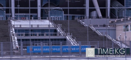 Эксперты: «Санкт-Петербург Арену» могли испортить не испражнения, а ядохимикаты