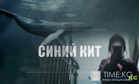 Игра Синий кит (группа смерти) перебралась в Instagram