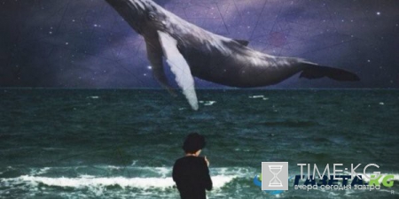 Игра Синий кит (группа смерти) перебралась в Instagram