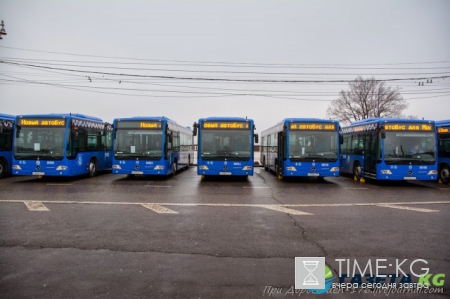 Как будет работать транспорт 9 мая в Москве: перемещение троллейбусов и автобусов
